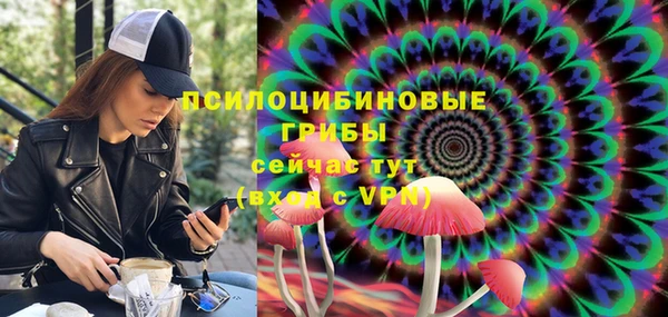 ГАЛЛЮЦИНОГЕННЫЕ ГРИБЫ Арсеньев