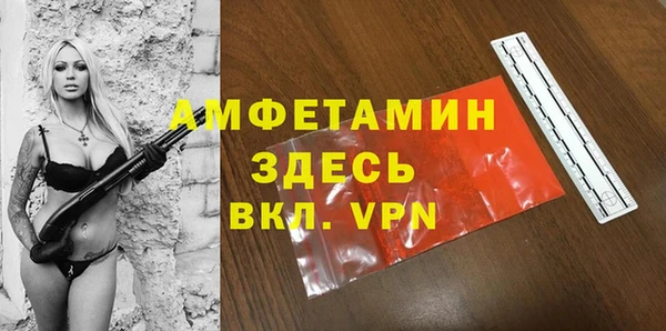 ГАЛЛЮЦИНОГЕННЫЕ ГРИБЫ Арсеньев