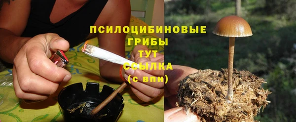 ГАЛЛЮЦИНОГЕННЫЕ ГРИБЫ Арсеньев